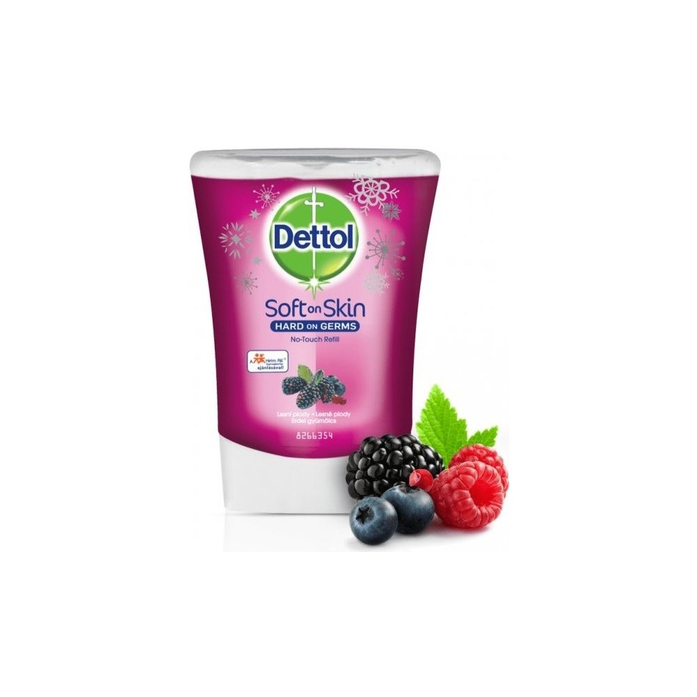 Dettol davk.250ml NN Lesné plody